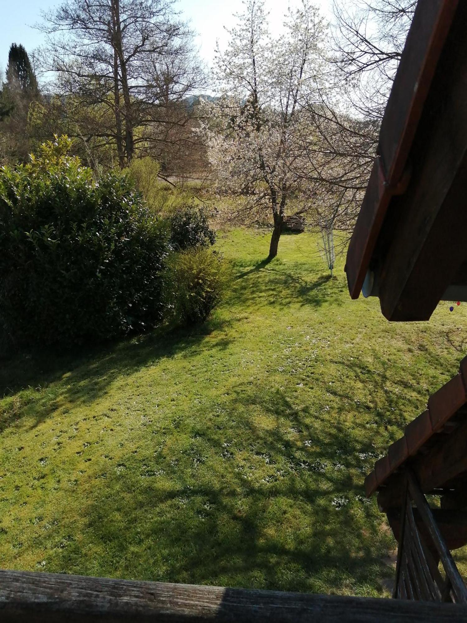 Gite 1 Etage Dambach Exteriör bild